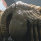 New American Cinema; "Alien," Ridley Scott