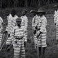 Community College Class: "13th," "the New Jim Crow, DuVernay covers Michelle Alexander