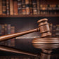 Civics: Constitutional Issues: Why do they exist? Why they are important...