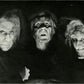 Teaching Shakespeare: "Macbeth," William Shakespeare