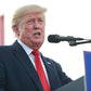 Community College Class: Racism, Obama and Trump: the fall and rise of Nazi Fascism
